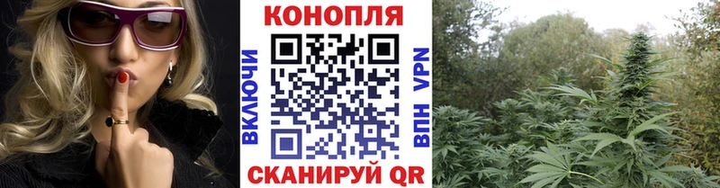 Шишки марихуана гибрид  Купить где  Моздок 